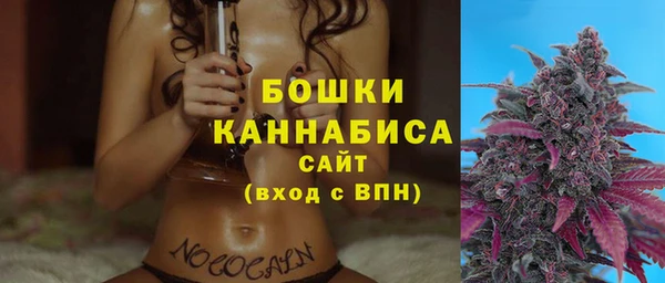 крисы Дмитров