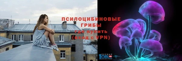 крисы Гусь-Хрустальный