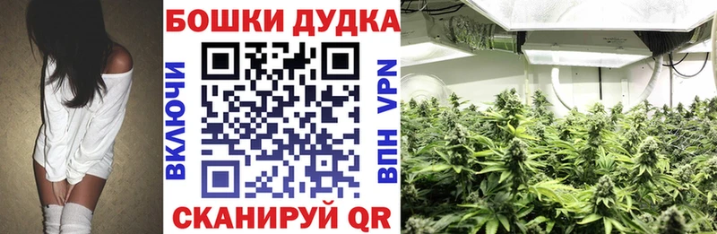 Шишки марихуана планчик  Купить где  Канаш 